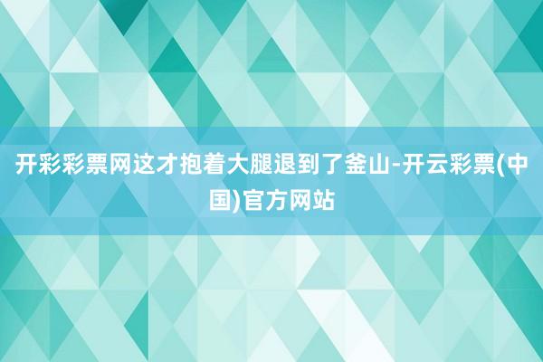 开彩彩票网这才抱着大腿退到了釜山-开云彩票(中国)官方网站